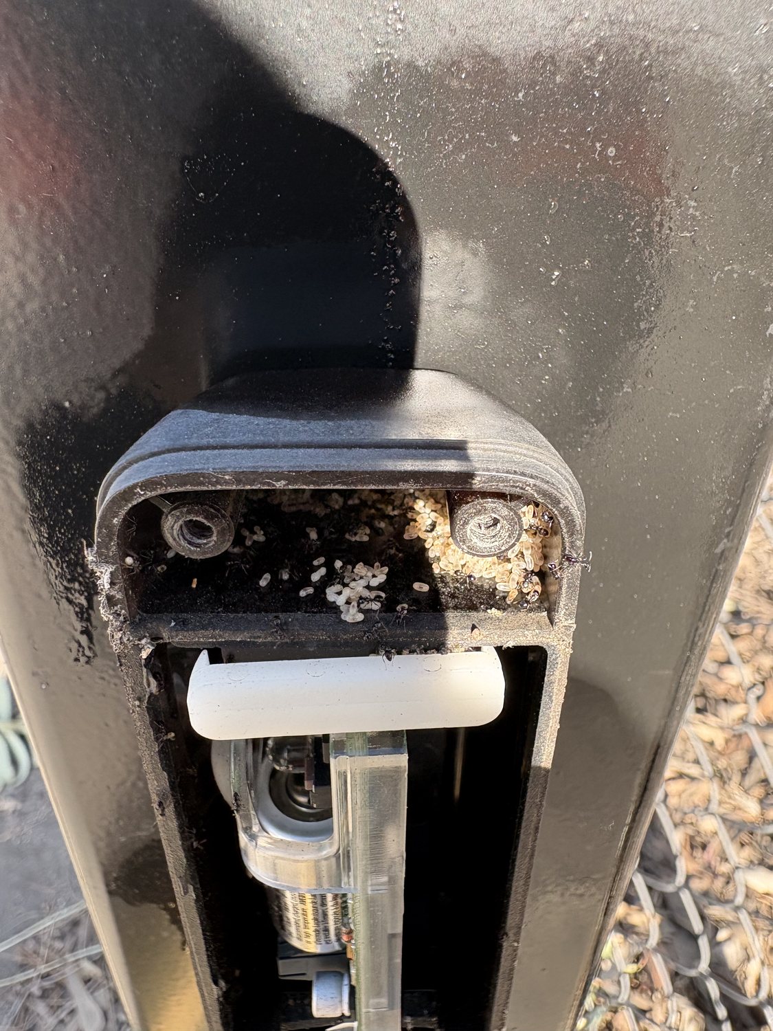 Contaminated automatic gate safety sensor removed for inspection